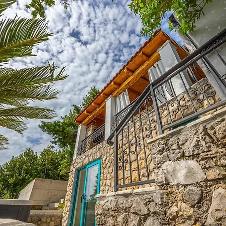 Cikas Palmhouse Villa *