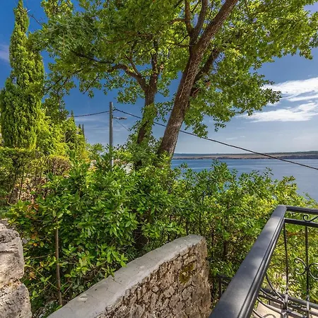 Villa Cikas Palmhouse *