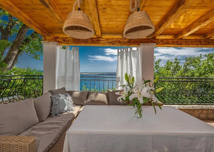 Willa Cikas Palmhouse *