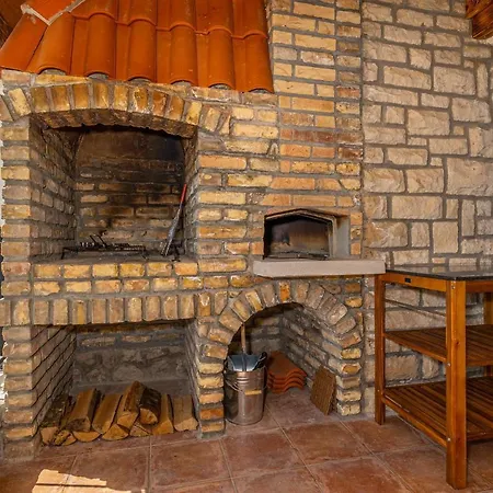 Cikas Palmhouse Vilă *