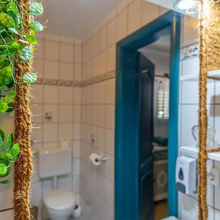 Cikas Palmhouse Jadranovo