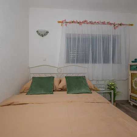 Cikas Palmhouse Vilă