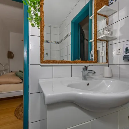 Cikas Palmhouse Vilă Jadranovo