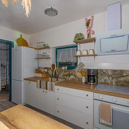 Cikas Palmhouse Vilă *