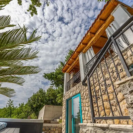 Cikas Palmhouse ヤドラニヴォ