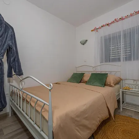 Cikas Palmhouse Vilă *