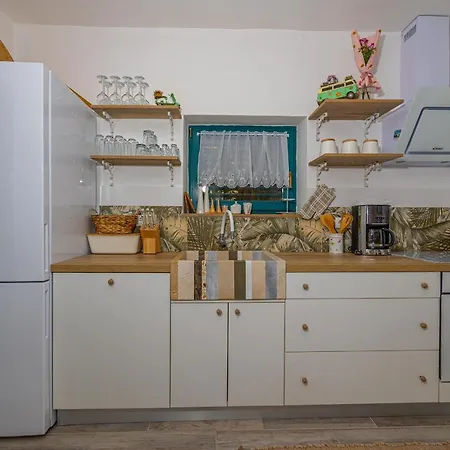 Willa Cikas Palmhouse