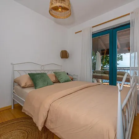 Cikas Palmhouse Vilă