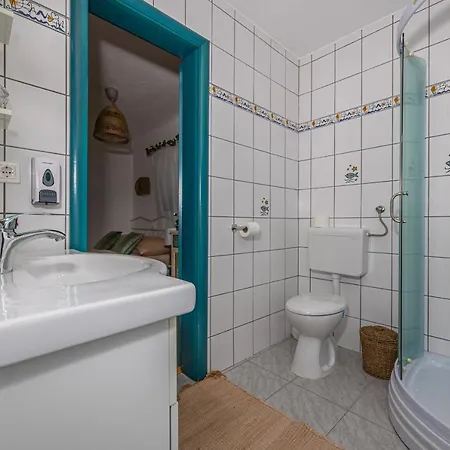 Cikas Palmhouse Vilă