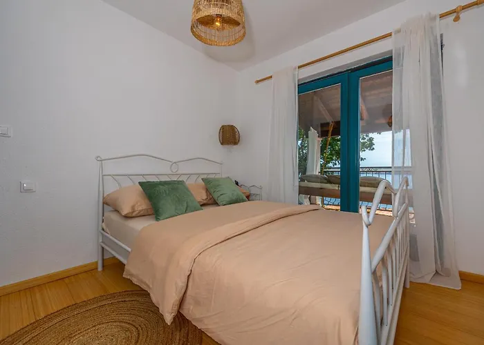 Cikas Palmhouse Vila